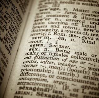  이태리장인의 다이어리 : SEX in English (dic)