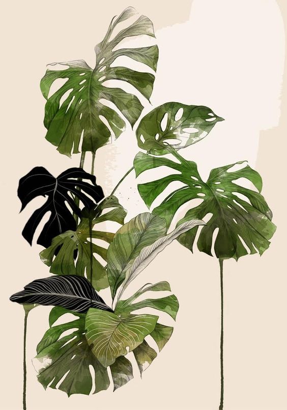  보태니컬 아트(Botanical Art) 그리기 - 탄현/제니스/덕이/운정 바른미술학원