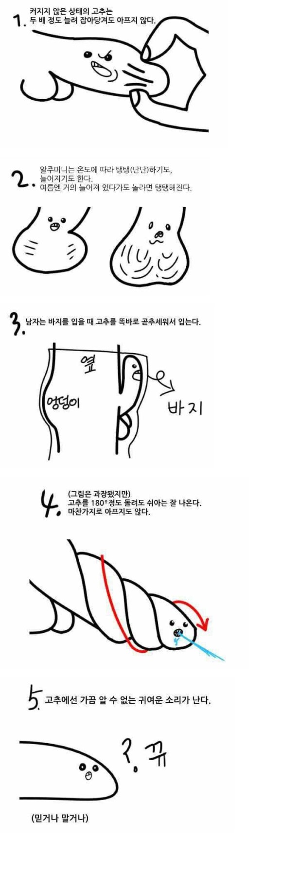  이태리장인의 다이어리 : 여자들이 모르는 남자의 고추이야기