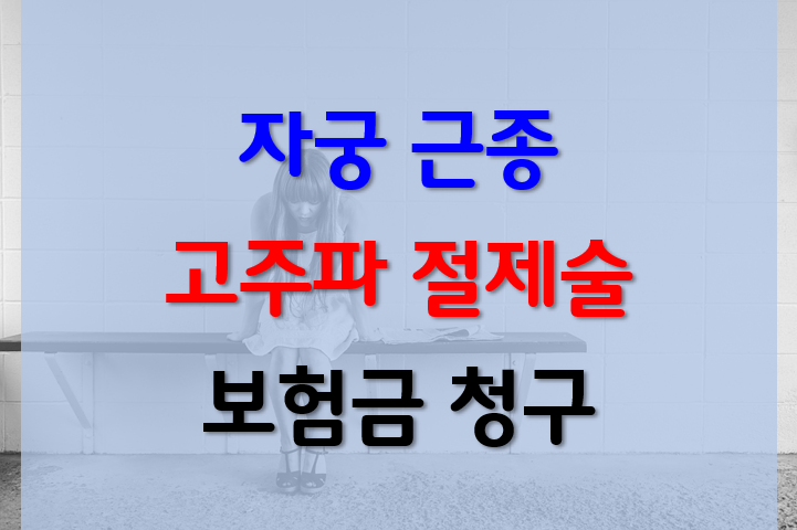 자궁근종 보험금 실손 청구 방법 2
