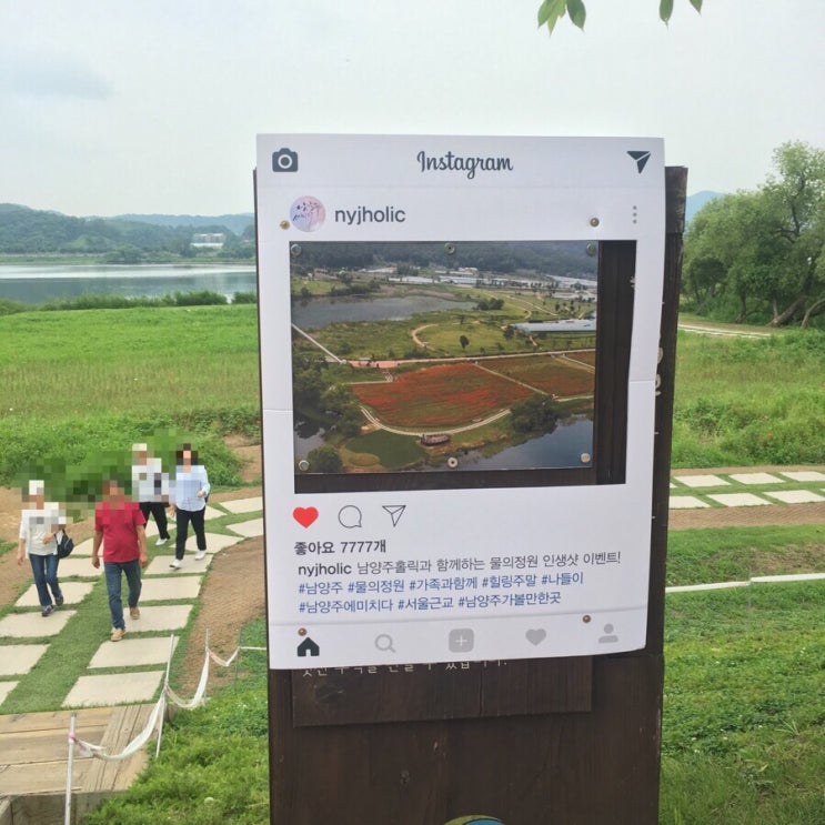  남양주 가볼 만한 곳 : 물의정원, 양귀비 보러 가요~