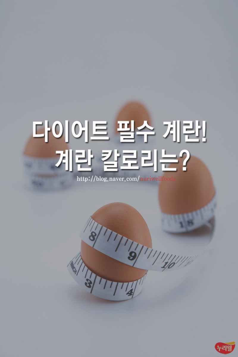 삶은 계란 칼로리 흰자와 노른자는 네이버 블로그