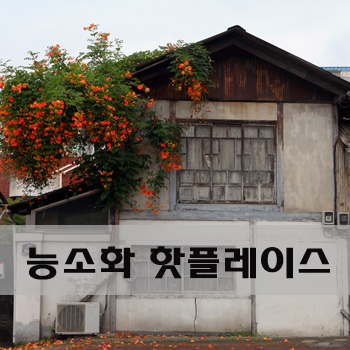  대구/경산의 능소화 핫플레이스