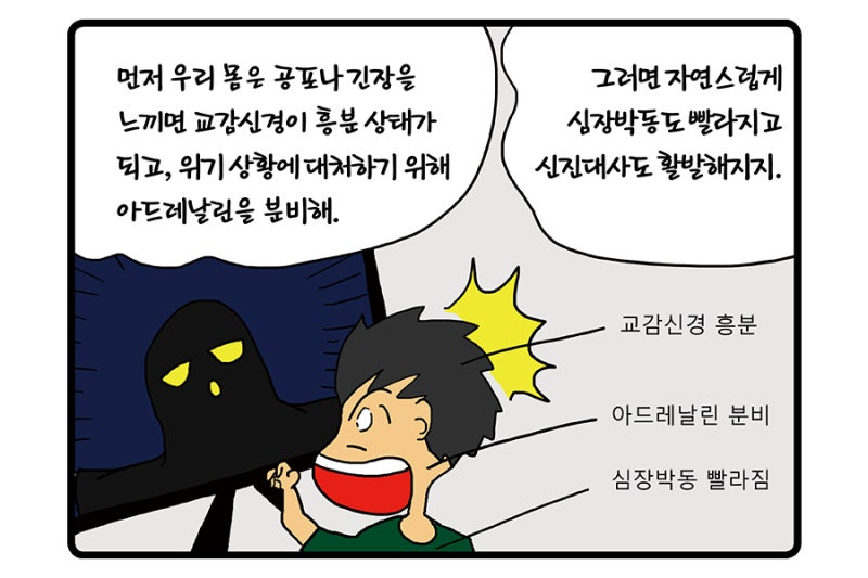 교감 만화