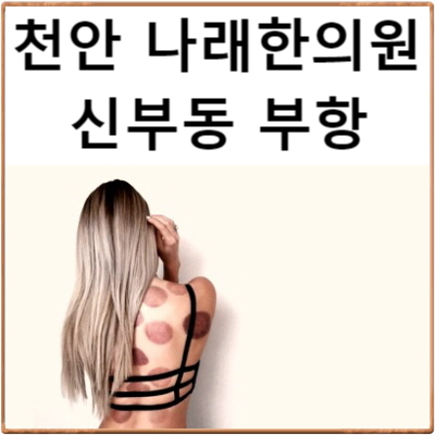  천안터미널 한의원 : 부항요법 시술 범위 안내 : 신부동 나래한의원