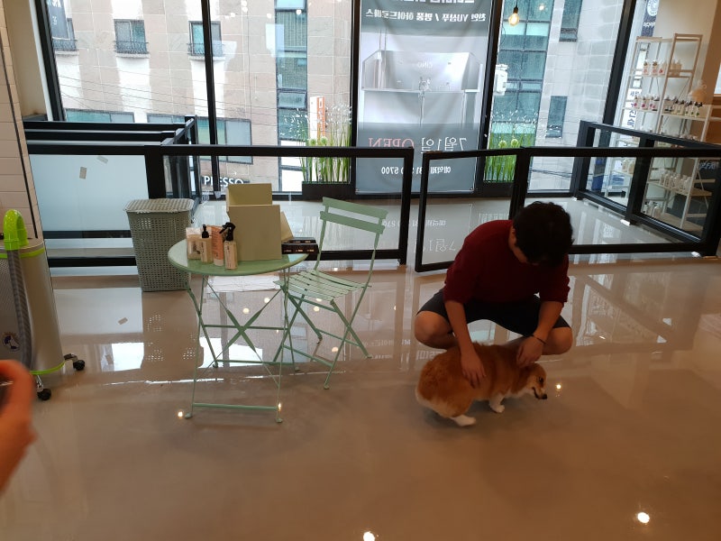 사진 6