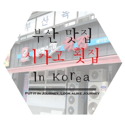  [부산맛집]부산맛집/동래구맛집/사직동맛집/부산사직횟집/사직물회/대게맛집/시카고횟집