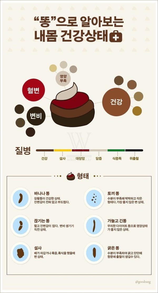  조금드러움... 대변으로 보는 나의 건강상태