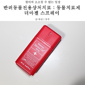반려동물전용상처치료 : 동물치료제 : 더마젤 스프레이
