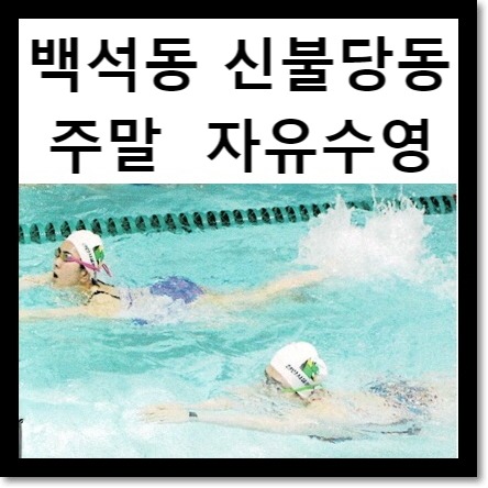 백석동 신불당 수영장 : 천안 종합운동장 수영장 토요일, 일요일 자유수영