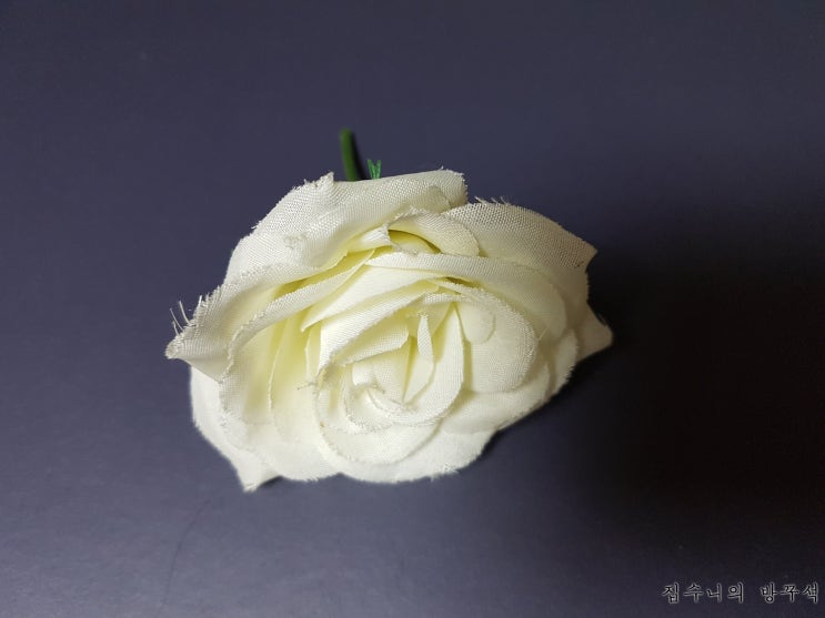  [매일매일 버리기]D+268_조화