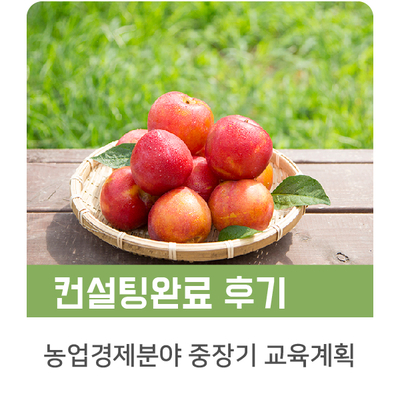  [인키움 컨설팅 완료후기] N사 농업경제분야 중장기 교육계획 수립