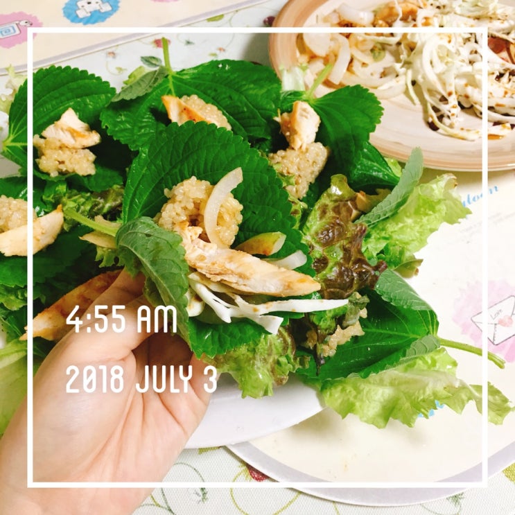  노유민 다이어트 쌈채소 식단으로 삼시세끼 맛있는 닭가슴살요리