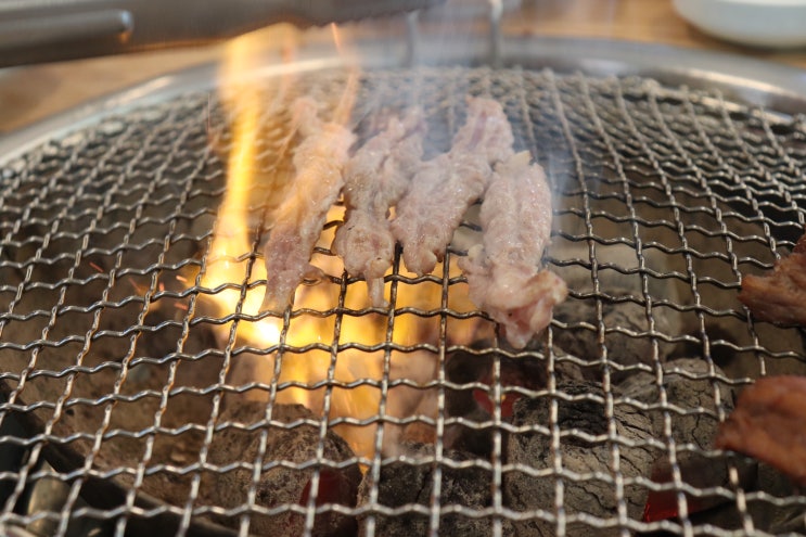 제주최초닭특수부위 닭목살 먹어봤나요? 제주도남동맛집 제주돌담촌