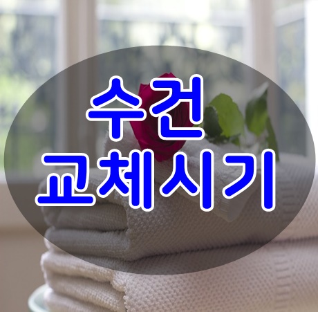 수건교체시기를 알고 계신가요?