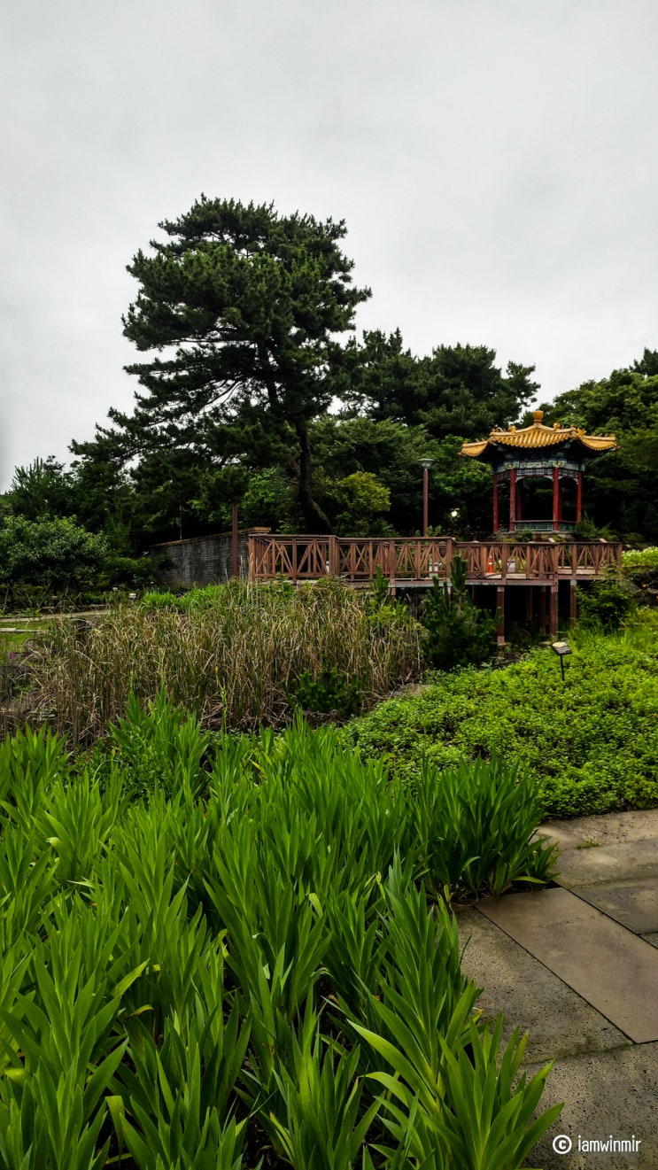 제주도 여행 3박 4일, 설화를 토대로 만든 전시관 " 서복전시관 / 서복불로초공원" 제주도 여행 3박 4일, 설화를 토대로 만든 전시관 " 서복전시관 / 서복불로초공원"