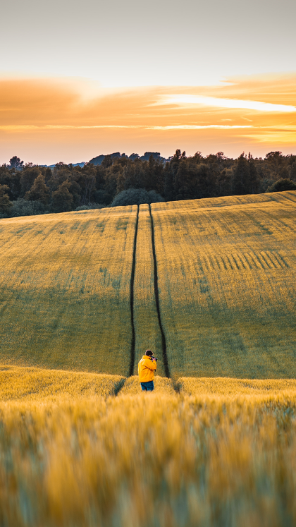 농장 아이폰 배경화면