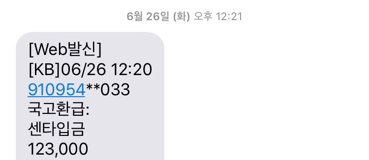 국고환급? 센타입금? ㅡ 연말정산(종합소득신고) 국세 환급 금액 : 네이버 블로그 국고환급? 센타입금? ㅡ 연말정산(종합소득신고) 국세 환급 금액 : 네이버 블로그