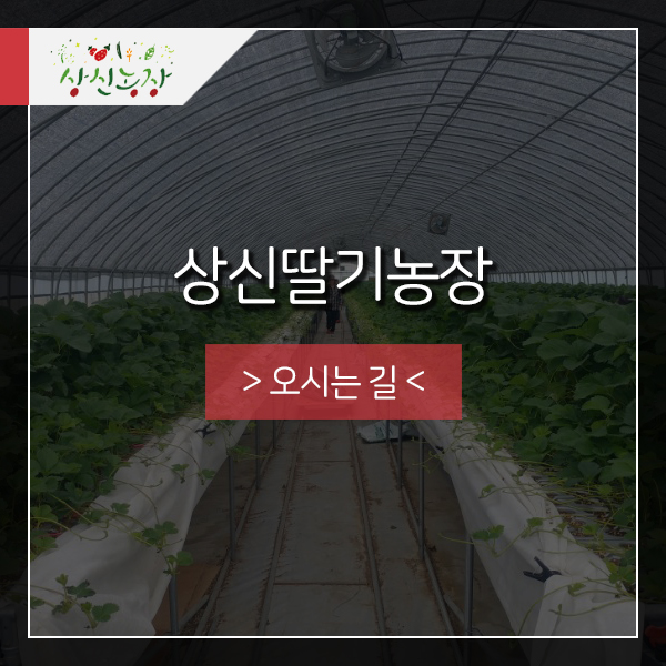  상신딸기농장 > 오시는길 <