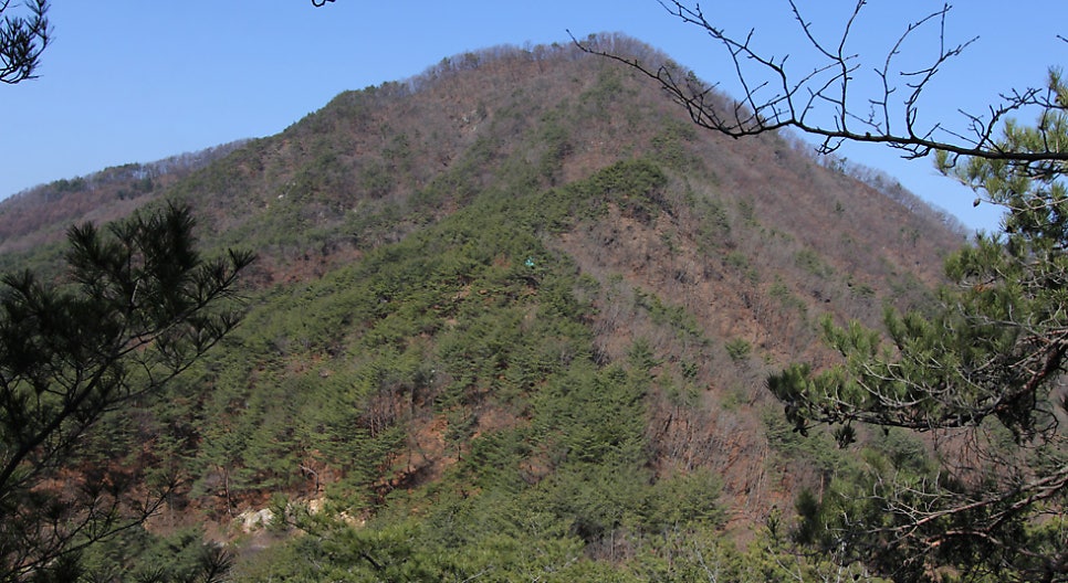 벌통뱅이산 사진 5