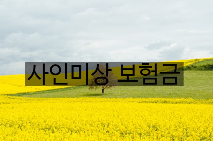  부검에서도 사망원인이 미상인 경우 상해사망해당안돼?