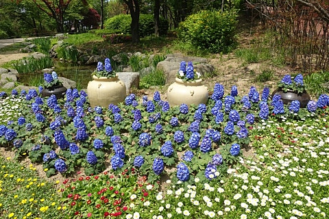 미래의원 이미지