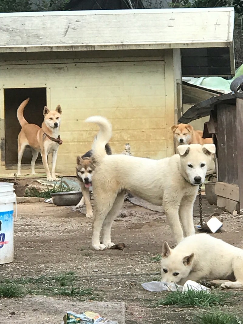 삐뽀 (@ouo4_44) / Posts / X, image size:800x1067