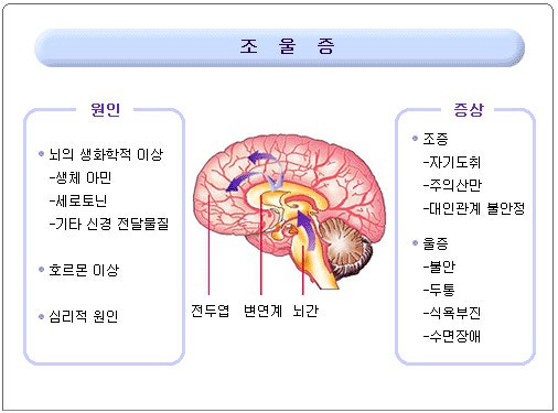 조울증의 원인!한방치료는 마음에 화한의원!