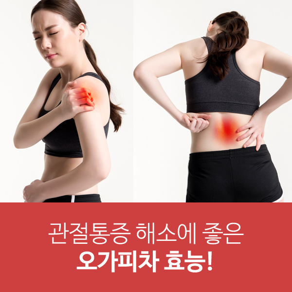  관절통증 해소에 좋은 오가피차 효능!