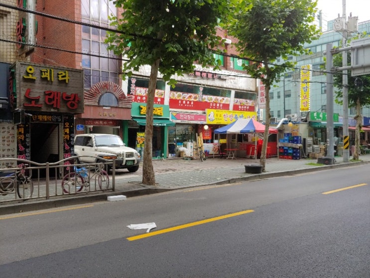  맛집 석촌역, 송파역  달인수제한방 족발, 보쌈 잘하는 곳