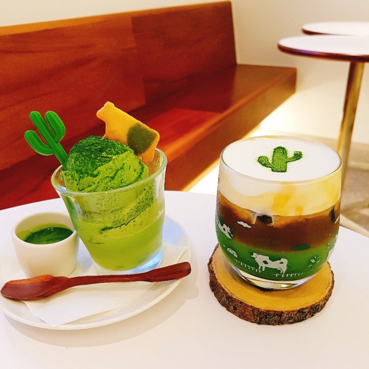  (대구맛집/대구카페/동성로카페/삼덕동카페/선인장카페/녹차/말차)데일리오아시스 2호점