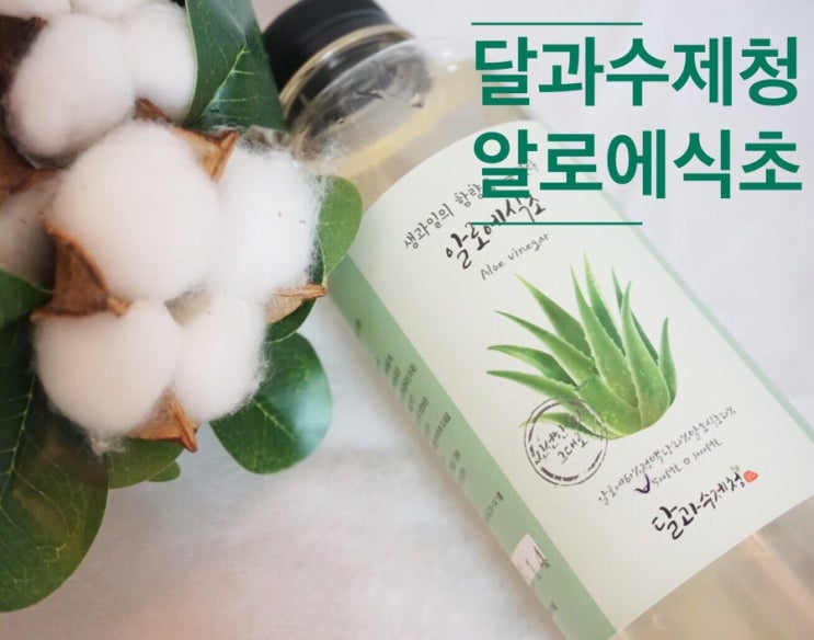  달과수제청 알로에식초