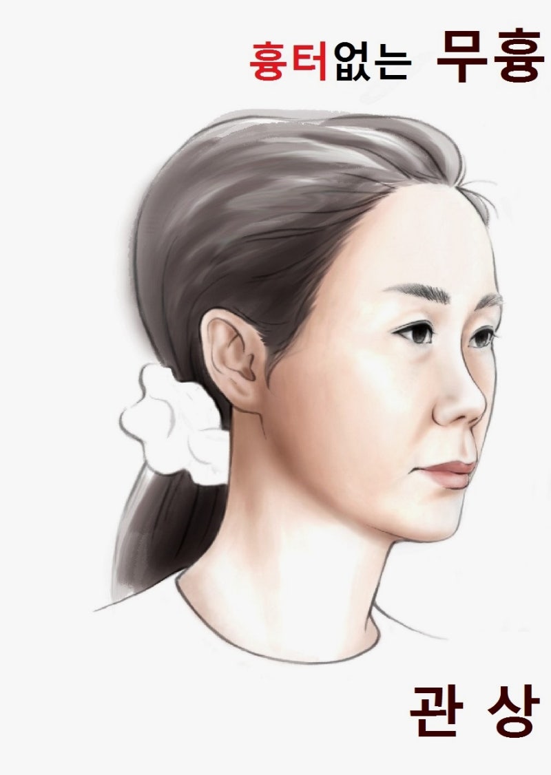귀티나는 얼굴 관상 성형 - 귀티나는 여자 비율 맞추기 : 네이버 블로그