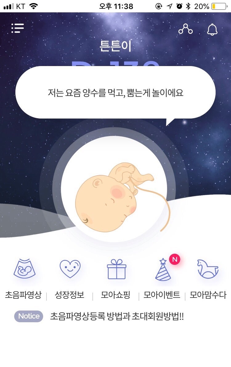 임신 22주 임신 23주 활발한 태동을 느끼는 시기 : 임신 6개월 증상 8
