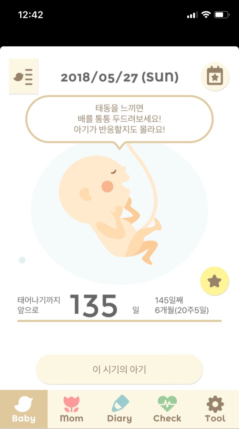 임신 22주 임신 23주 활발한 태동을 느끼는 시기 : 임신 6개월 증상 2