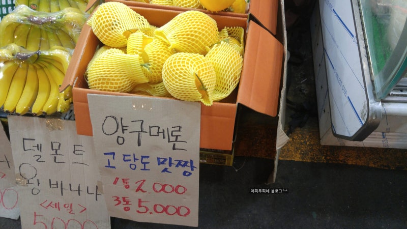 양구메론 내 돈내고 직접 사먹은 솔직후기(동영상)