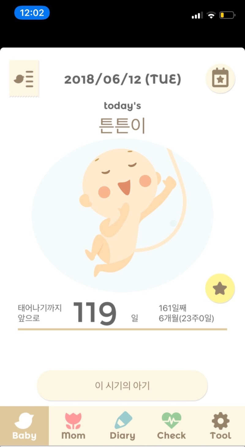 임신 22주 임신 23주 활발한 태동을 느끼는 시기 : 임신 6개월 증상 7