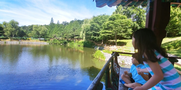 천안 유량동 아이들과 갈만한 곳 : 태조산 공원 소풍