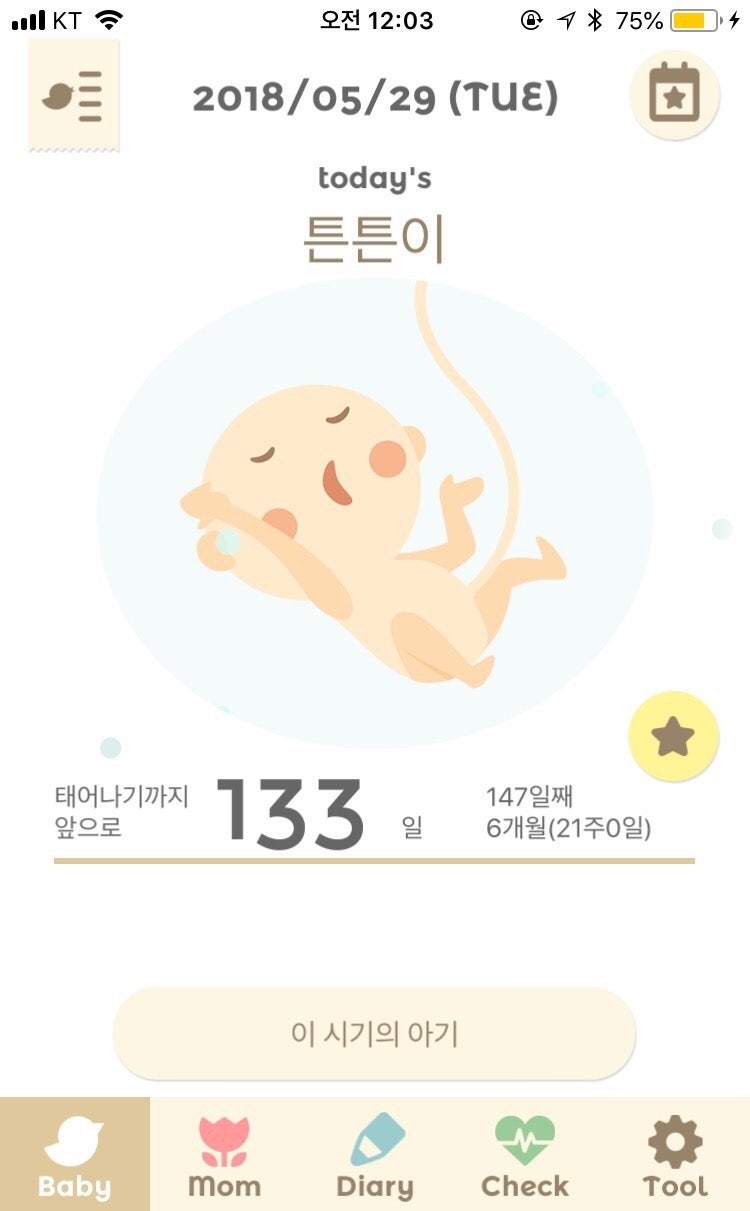 임신 22주 임신 23주 활발한 태동을 느끼는 시기 : 임신 6개월 증상 6