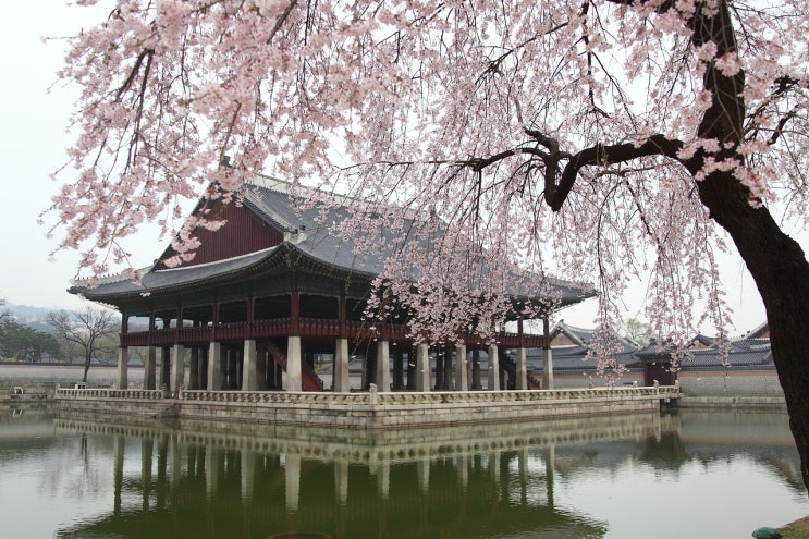  합궁, 합방의 길일(吉日)은 자연임신을 위한 배란기 계산이 아니다.