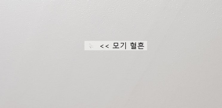  지난 밤 모기와의 사투 흔적..