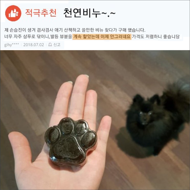  강아지 습진 발비누 도그스킨 구매 후기!!