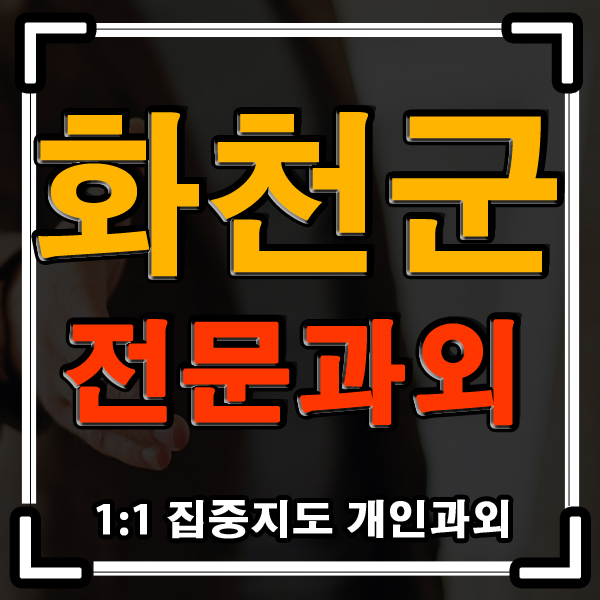 화천군 과외 (중학생 고등학생) 내신 개인과외 수업도 역시 전문가 설리반쌤!