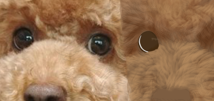 [그림 강좌] 포토샵으로 푸들 강아지 그리기 색칠 밑작업