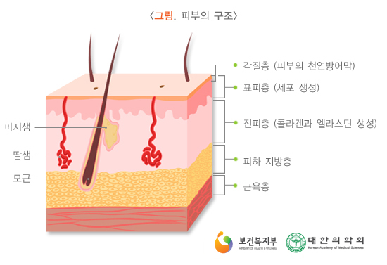  바디바 비누를 써야 하는 이유, 정말로