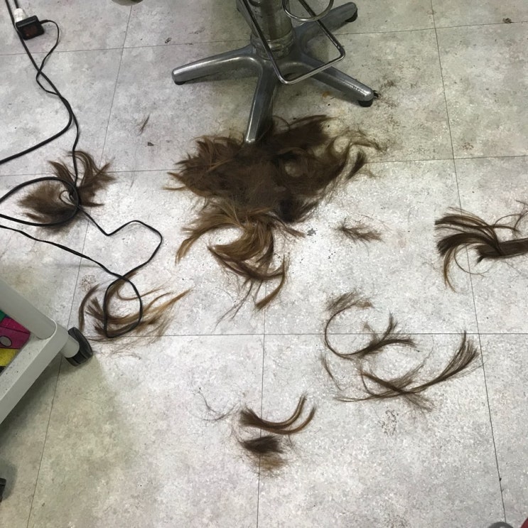  프렌즈샵, 강릉에 정직한 고물상 있다던데 거기 어디인지 아시는 분?!... 설마 여기 말하는 거임?ㅋ 강릉 고물상 미소자원산업(구.포남고물상)