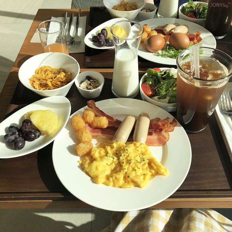  [평창 숙소 추천]더 화이트 호텔   #호캉스 #호텔놀이