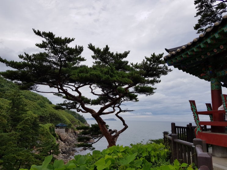  라효/데이트일상/강원도당일치기여행/가족연인친구여름휴가/양양/속초 가볼만한곳, 낙산사에서 힐링하고 왔어요~
