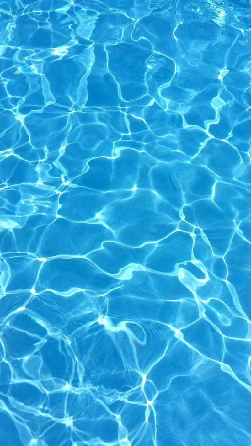 고화질 바다속 배경화면 – transportkuu.com