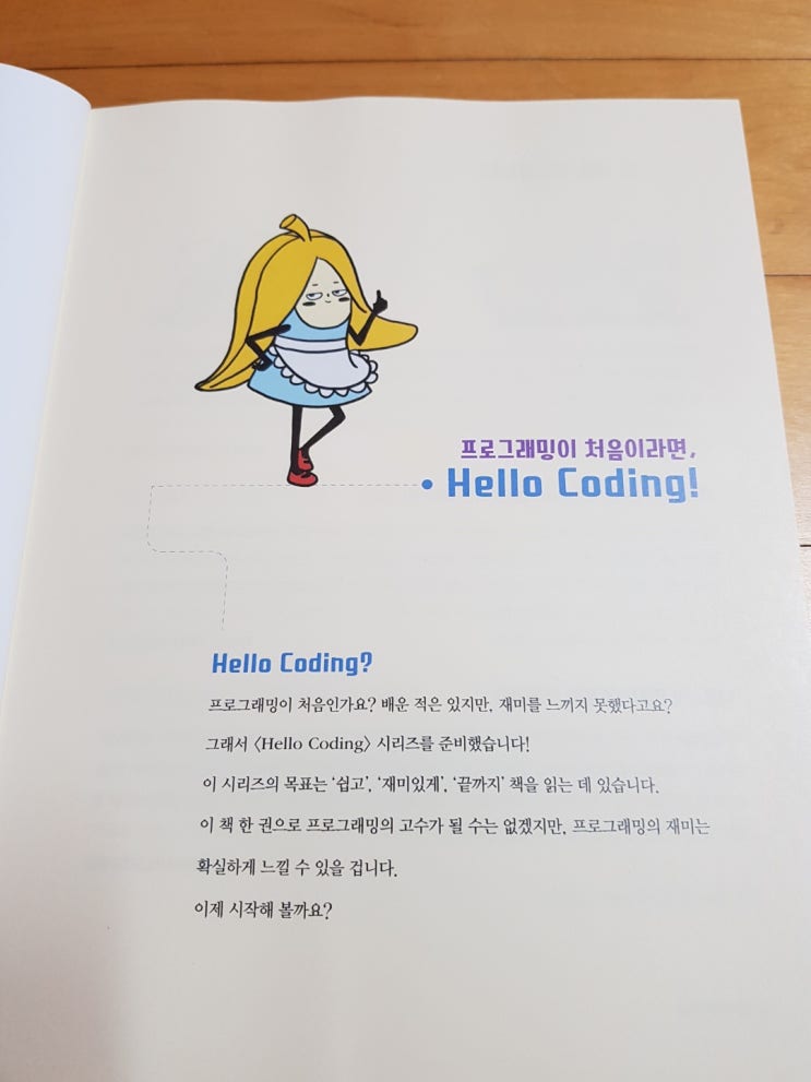  [도서리뷰] Hello Coding 한입에 쏙 파이썬, 부제 : 진짜로 한입에 쏙 담기는 코딩일까?